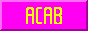 a button saying ACAB.